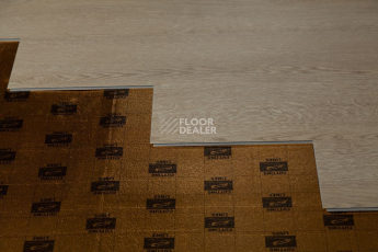 Tarkett Funky House Ricon фото 2 | FLOORDEALER